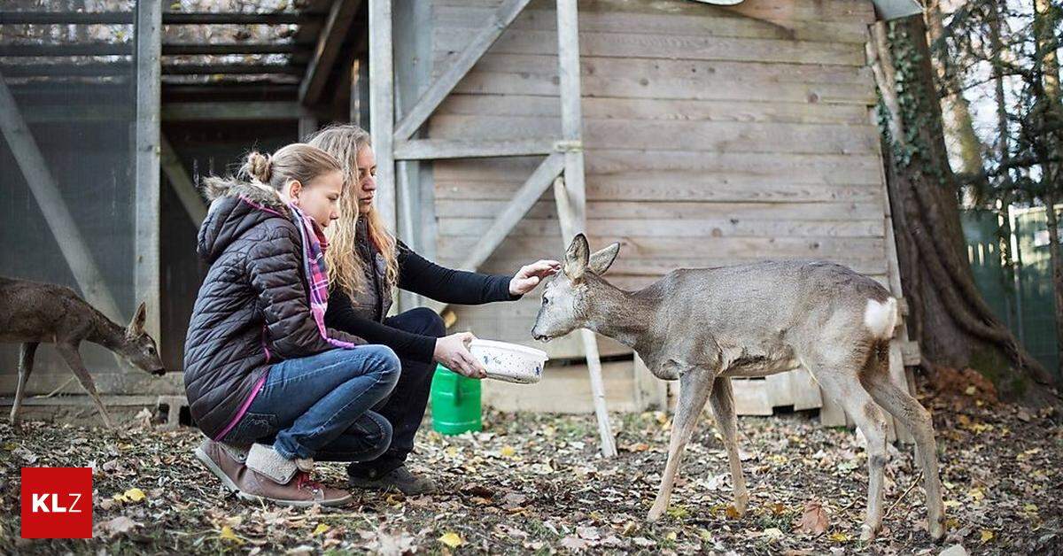 Organisation Vor Dem Aus Kleine Wildtiere In Gro Er Not Jetzt