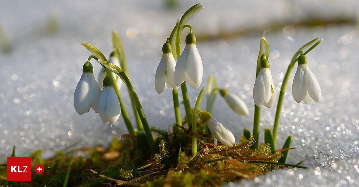 Temperatursturz Gibt der Winter in Kärnten und Osttirol ein spätes