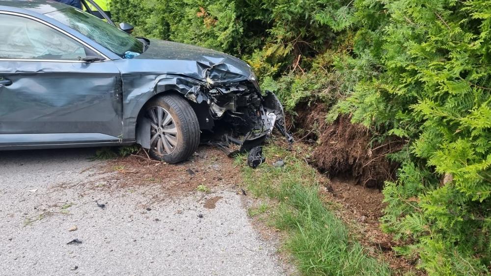 In Gemeinde Keutschach Alko Lenker Krachte In Mehrere Thujen