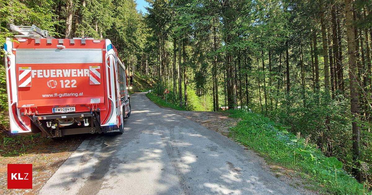 Bei Forstarbeiten J Hriger K Rntner Von Baum Erschlagen