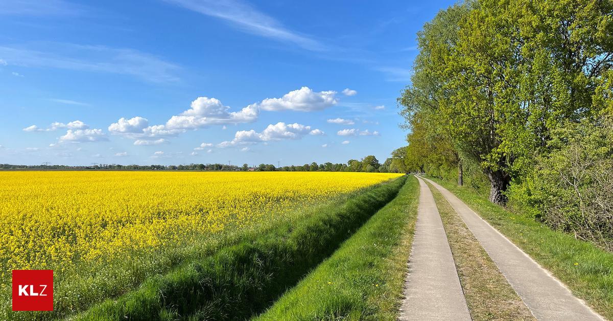 1300 Kilometer Radwandern Entlang der großen Ströme bis nach Hamburg