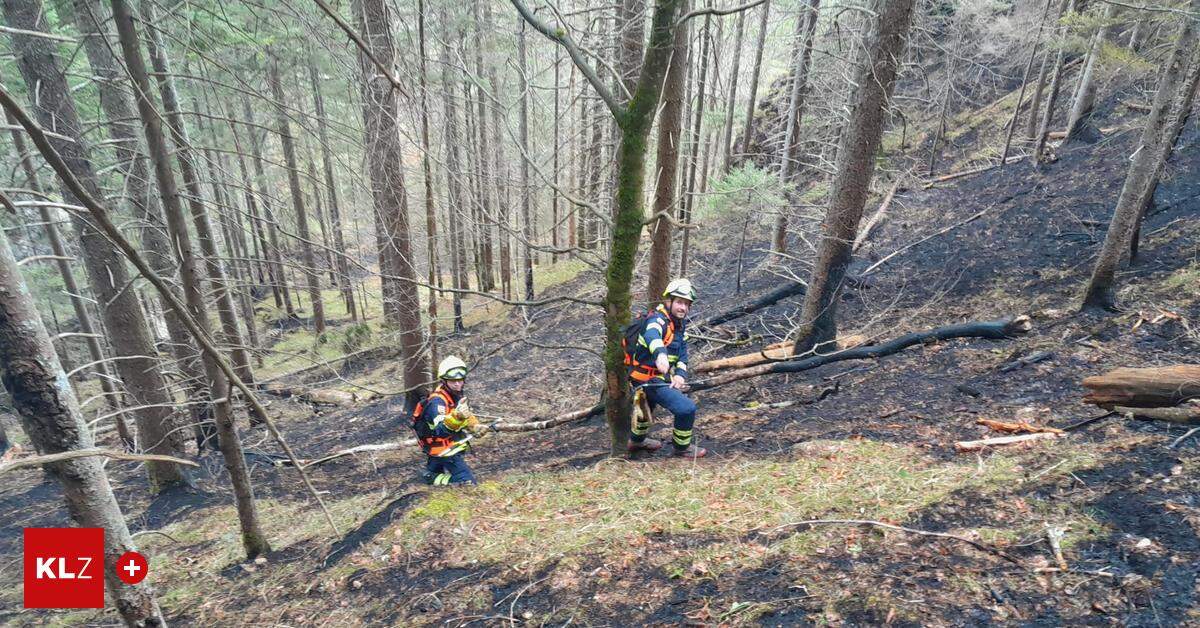 Waldbrand in Wildalpen Hilfe kam auch aus Niederösterreich