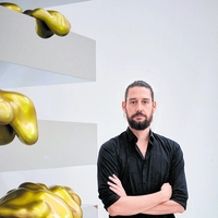 David Schmidhauser, Kurator Kunst Museum Winterthur