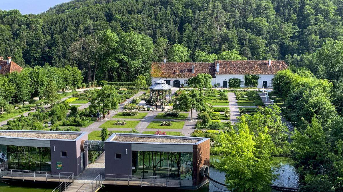 In den Sommerferien erreichen Sie den Tierpark und das Schloss Herberstein mit dem prächtigen Rosengarten mit der RegioBus-Linie 209 ab Weiz bzw. Kaibing an Samstagen, Sonn- und Feiertagen