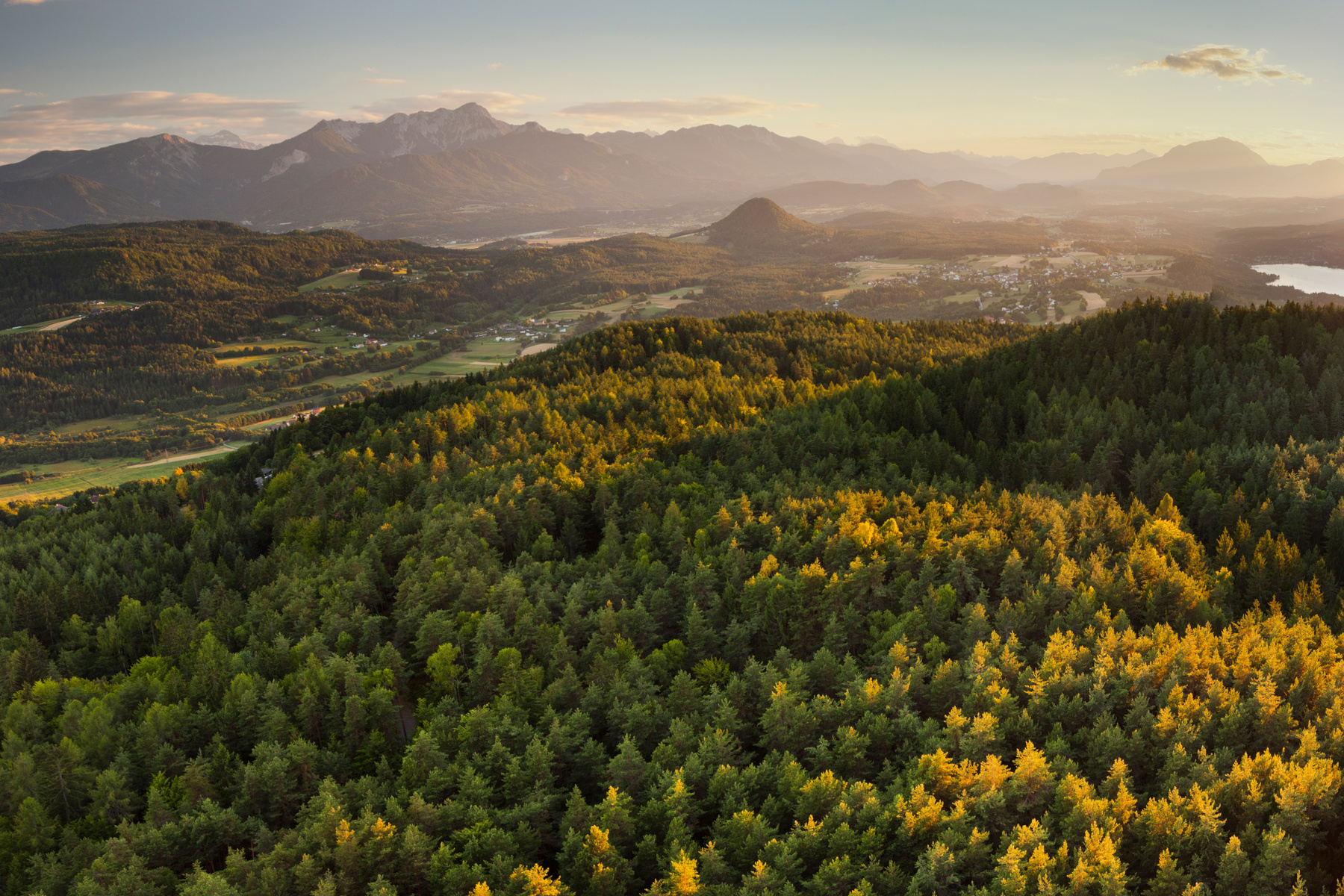 pro:Holz: Wald im Wandel: Warum aktive Bewirtschaftung heute wichtiger denn je ist