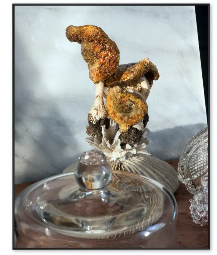 Ein Werk der Fotokünstlerin und Kunstraum-Steiermark-Stipendiatin Susanna Hofer