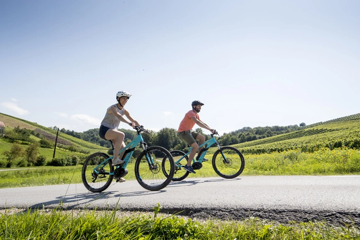 Nutzen Sie den E-Bike-Verleih des Landgut am Pößnitzberg und erkunden Sie die Gegend 