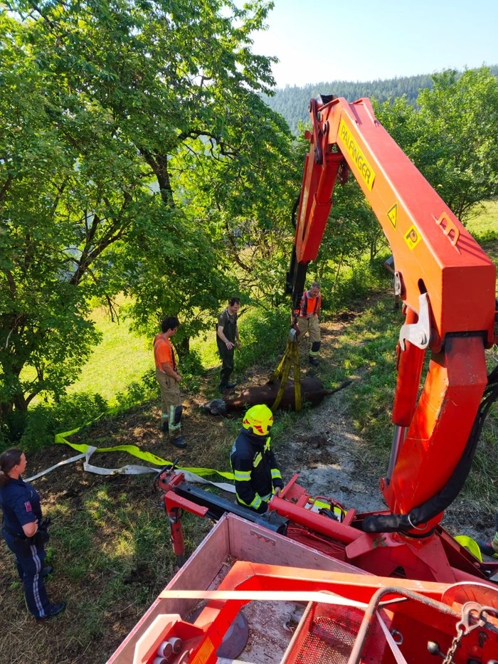 Die Feuerwehr rückte mit 15 Kameradinnen und Kameraden an