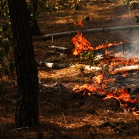 Feuer in Frankreich nicht gelöscht, Sorge um Hitze und Wind