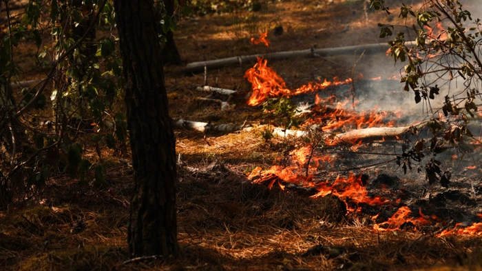 Feuer in Frankreich nicht gelöscht, Sorge um Hitze und Wind