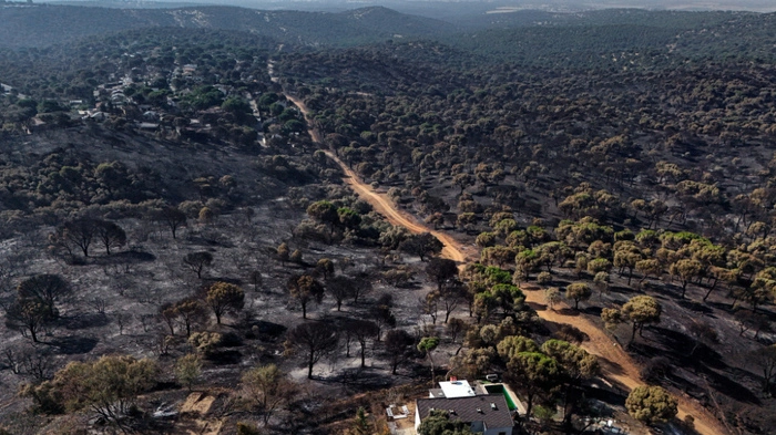 Verheerende Feuer hinterließen in Spanien viel Zerstörung
