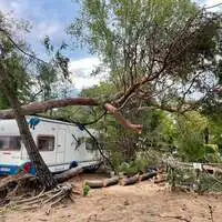 Am Campingplatz „Al Bosco“ in Grado stürzten mehrere Bäume um