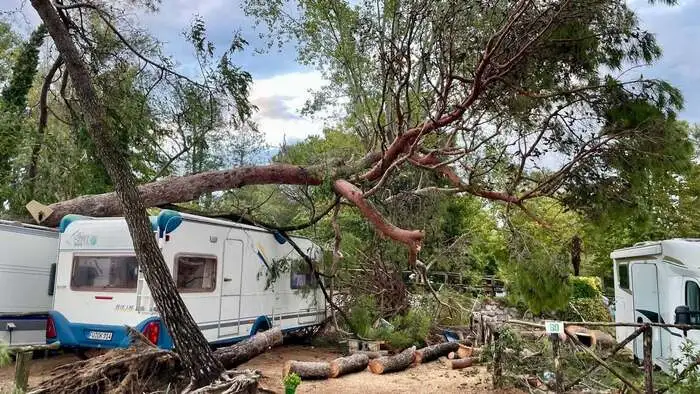 Am Campingplatz „Al Bosco“ in Grado stürzten mehrere Bäume um
