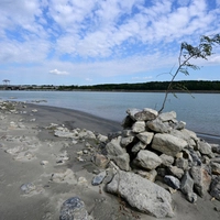 Die Pegelstände der Donau werden mit der nächsten Hitzewelle weiter sinken