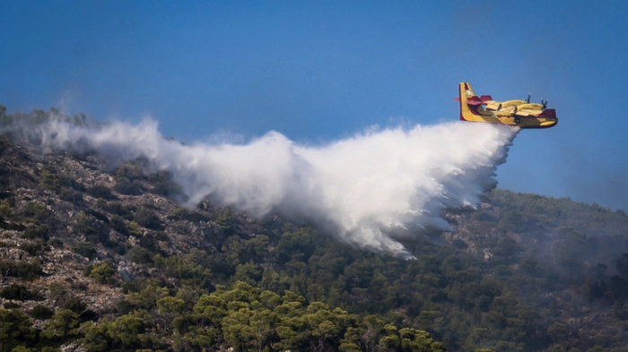 Großeinsatz der Löschkräfte auf Salamis brachte Erfolg
