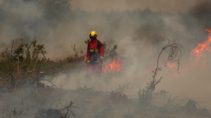 Einsatzkräfte bekämpfen in Frankreich die um sich greifenden Flammen