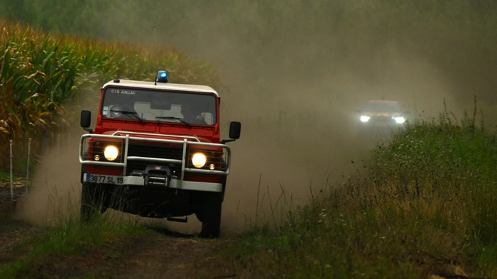 Feuer war in Kiefernwald ausgebrochen