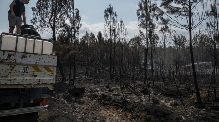 Erfolg im Kampf gegen Waldbrand bei Bordeaux
