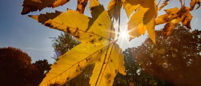 Am 23. September war astronomischer Herbstbeginn