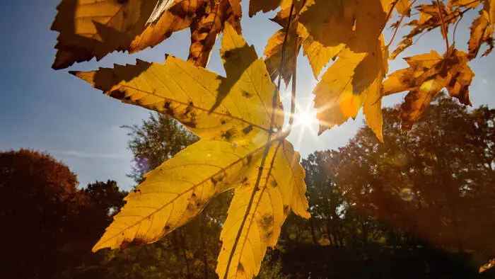 Am 23. September war astronomischer Herbstbeginn