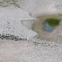 Das trockene Ufer der Donau in Niederösterreich