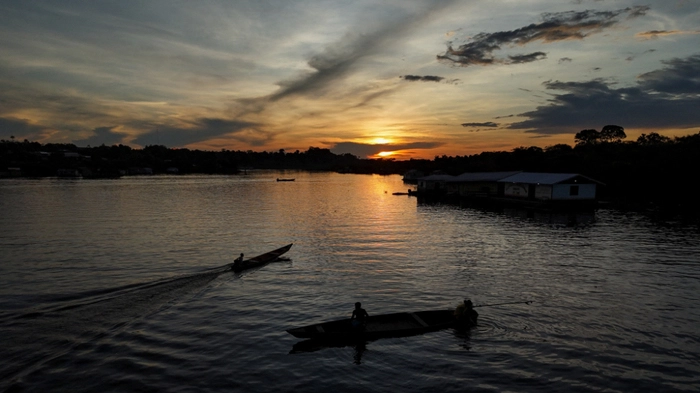 Am Amazonas wird weniger abgeholzt