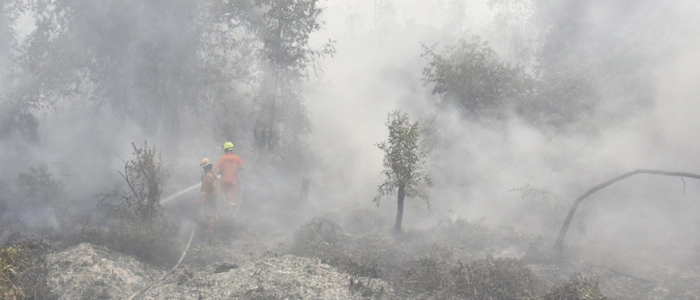 Feuerwehrleute bemühen sich um ein Ende der Flammen