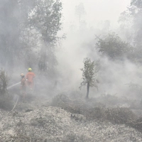 Feuerwehrleute bemühen sich um ein Ende der Flammen