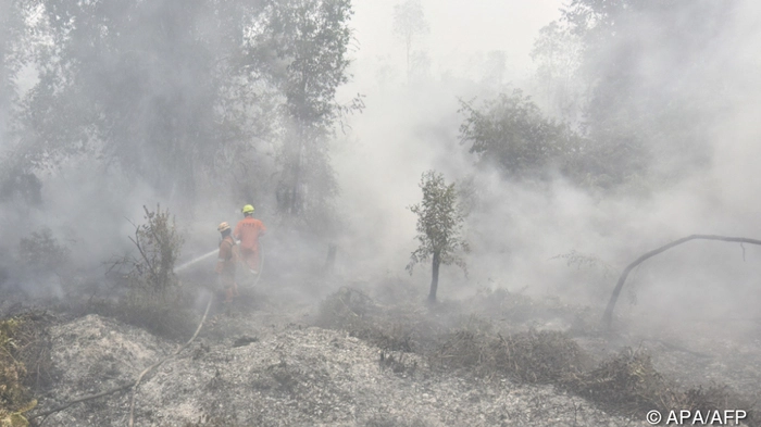 Feuerwehrleute bemühen sich um ein Ende der Flammen