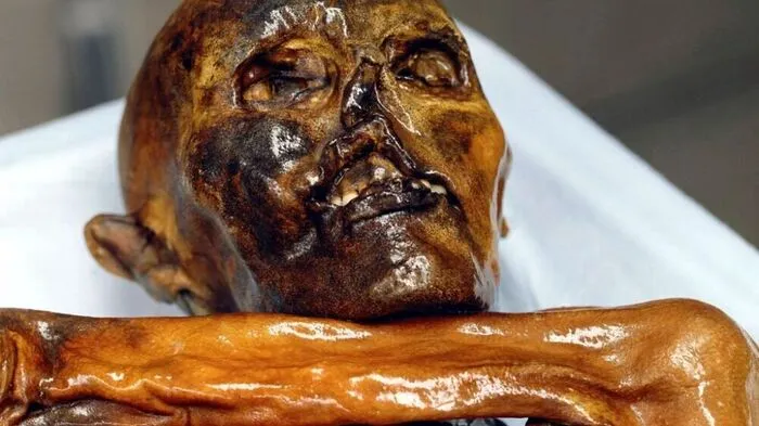 Der "Ötzi" wird die Forschung noch viele Jahrzehnte beschäftigen