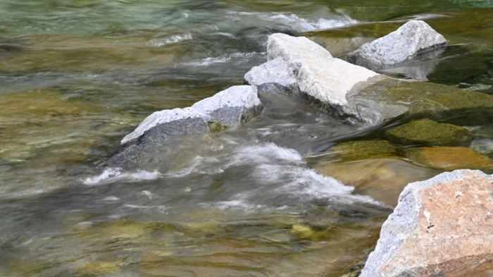 WWF ließ online über die Flüsse des Jahres in Österreich abstimmen