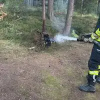 Die Feuerwehr konnte den Baumstumpf löschen und eine Brandausbreitung verhindern
