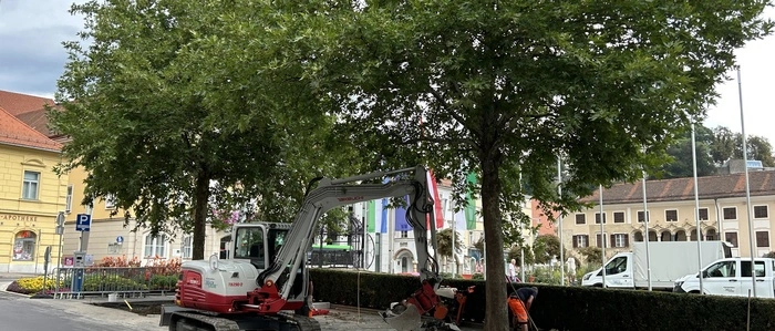 Hier wird den Bäumen mehr Platz geschaffen