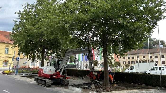 Hier wird den Bäumen mehr Platz geschaffen