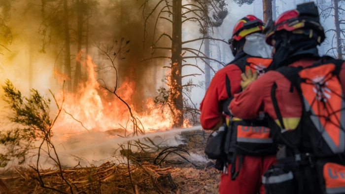 Einsatzkräfte im Kampf gegen die Flammen