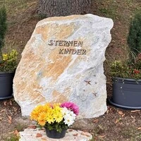 Der Stein steht unter einer Atlas-Zeder am Friedhof