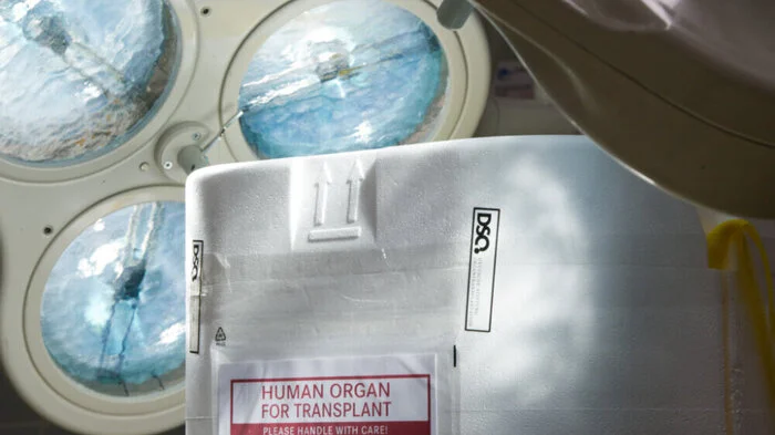 ILLUSTRATION - Ein Styropor-Behälter zum Transport von zur Transplantation vorgesehenen Organen steht am 27.09.2012 in Berlin im Operationssaal eines Krankenhauses auf einem Tisch. In derartigen keimfreien Behältern wird das zuvor mit einer speziellen Flüssigkeit gespülte und gekühlte Spenderorgan schnellstmöglichst in ein Transplantationszentrum zum Patienten transportiert. Vom 1. November an werden Krankenkassen Info-Briefe über Organspende verschicken - weil es viel zu wenige Spender gibt. Foto: Soeren Stache/dpa (Zu dpa-Korr.: «Organspende ja oder nein - Entscheidungen nach dem großen Skandal» vom 16.10.2012) +++(c) dpa - Bildfunk+++