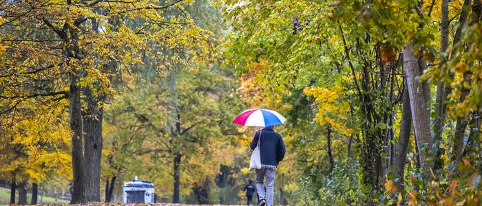 Den Regenschirm dabeizuhaben, kann gegen Ende der Woche nicht schaden