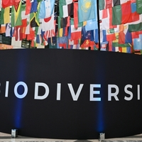 Erste globale Bestandsaufnahme der Biodiversitätsstrategien