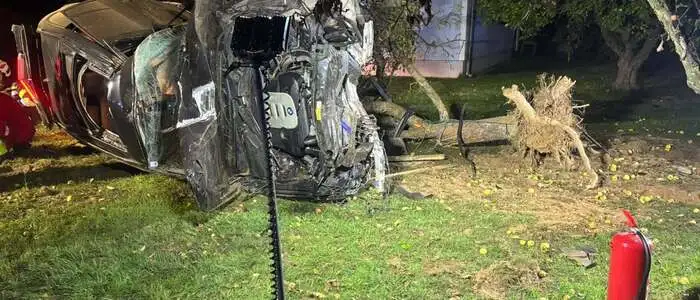 Der Pkw entwurzelte durch die Wucht des Aufpralls einen Baum