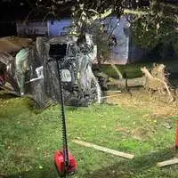 Der Pkw entwurzelte durch die Wucht des Aufpralls einen Baum