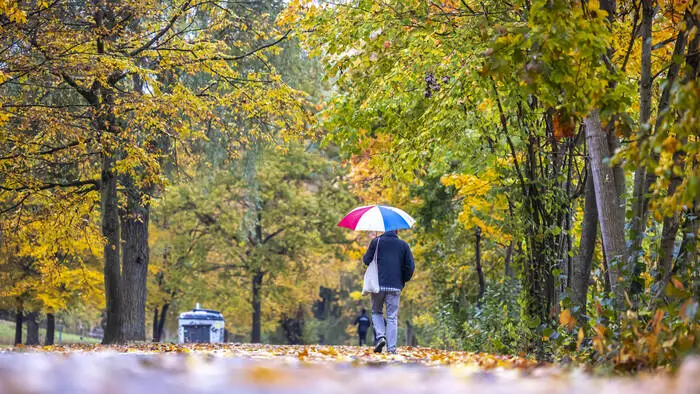 Den Regenschirm dabeizuhaben, kann gegen Ende der Woche nicht schaden