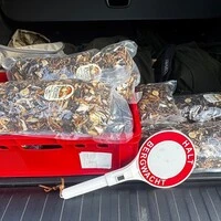 Die sichergestellten Pilze wurden an ein Pflegeheim weitergegeben