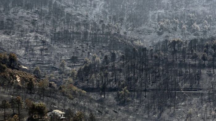 Waldbrände setzten Spanien bereits stark zu