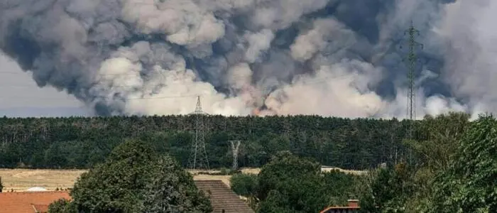 Rauchwand hinter einem Waldstück