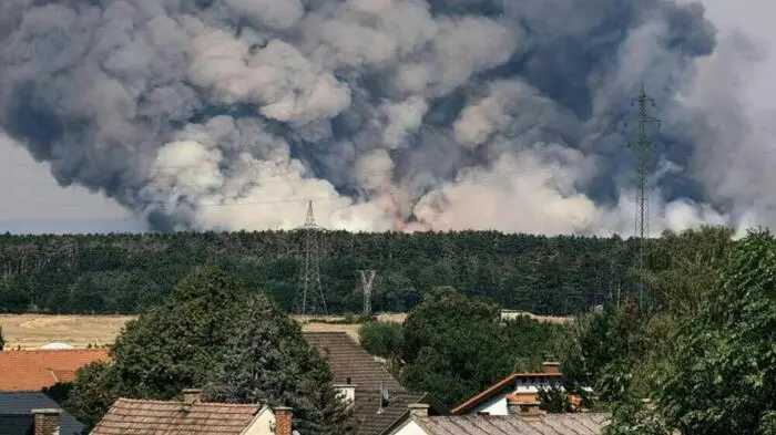 Rauchwand hinter einem Waldstück