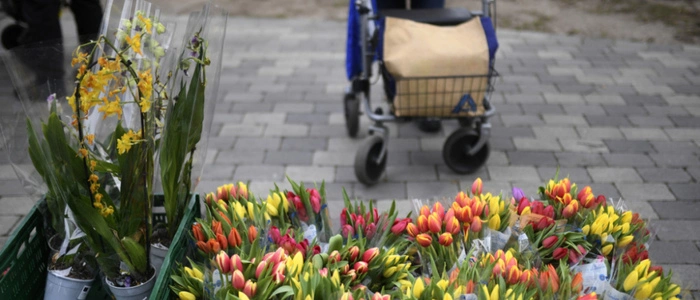 Rollator wurde sichergestellt