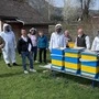 Obmann Harald Jost steht mit Nachwuchsimkern bei blau-gelb bemalten Bienenkästen. Manche tragen einen Schutzanzug