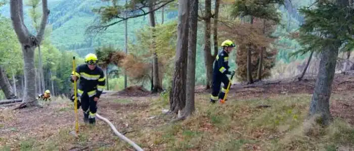 Die Feuerwehren kämpfen dieser Tage in vielen Ecken des Landes gegen die Brandgefahr im Wald