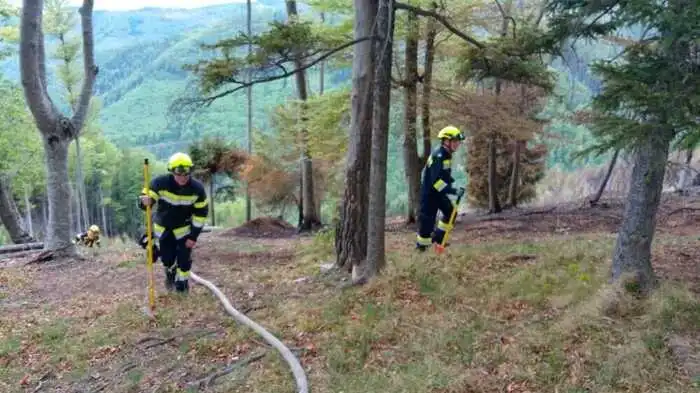 Die Feuerwehren kämpfen dieser Tage in vielen Ecken des Landes gegen die Brandgefahr im Wald